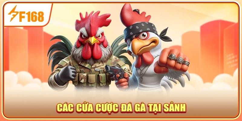 Các cửa cược đá gà tại sảnh