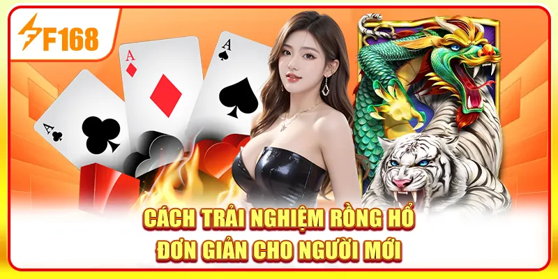 Cách tham gia trải nghiệm Rồng Hổ