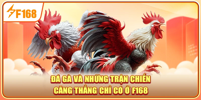 Đá gà F168